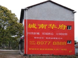 龙胜百分之90的人都不了解的农村墙体广告