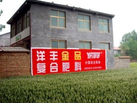 龙胜如何让墙体广告展现最大化效果