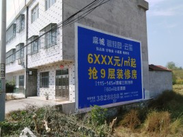 龙胜墙体广告质量分析