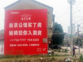 龙胜墙体广告在乡镇、农村市场的媒体优势