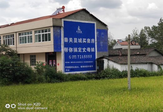 龙胜决定墙体广告价格的因素有哪些？