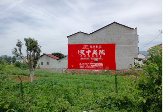 龙胜做墙体广告的意义