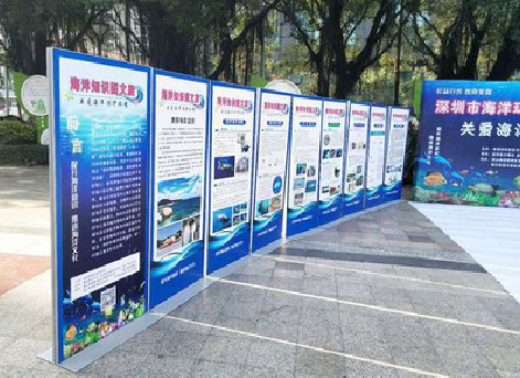 龙胜KT板的种类和知识。